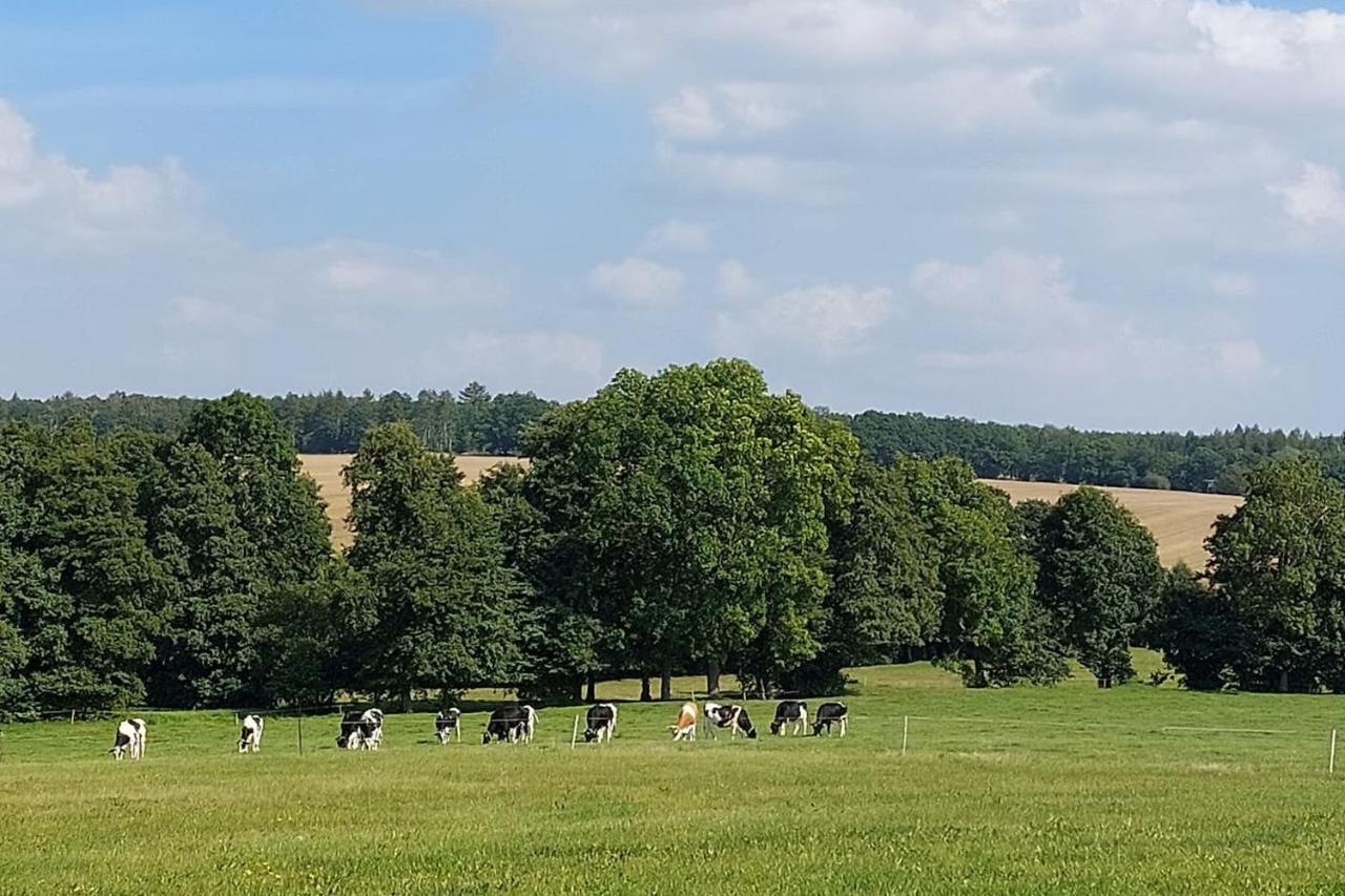 Stilvolle Ferienwohnung Im Eichsfeld Niederorschel Eksteriør billede