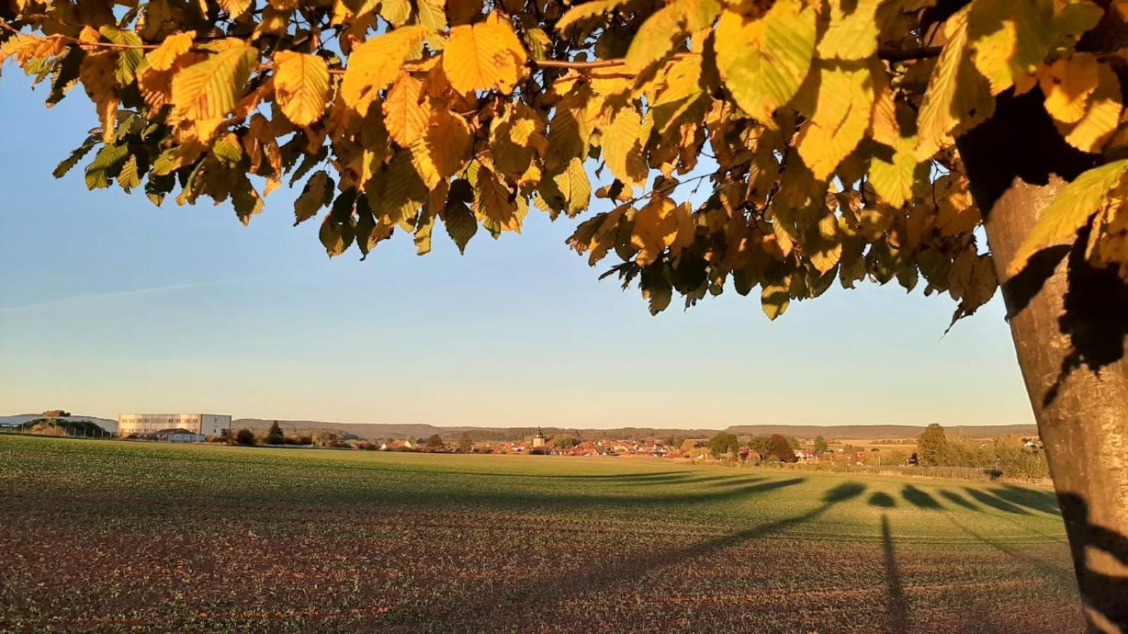 Stilvolle Ferienwohnung Im Eichsfeld Niederorschel Eksteriør billede