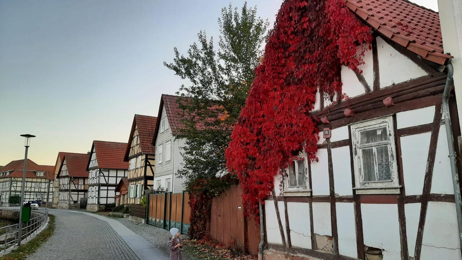 Stilvolle Ferienwohnung Im Eichsfeld Niederorschel Eksteriør billede