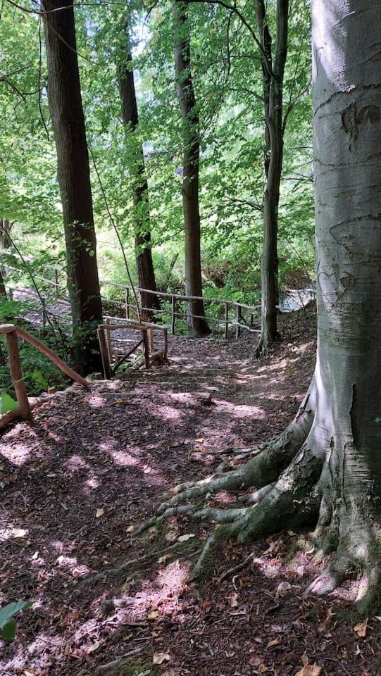 Stilvolle Ferienwohnung Im Eichsfeld Niederorschel Eksteriør billede